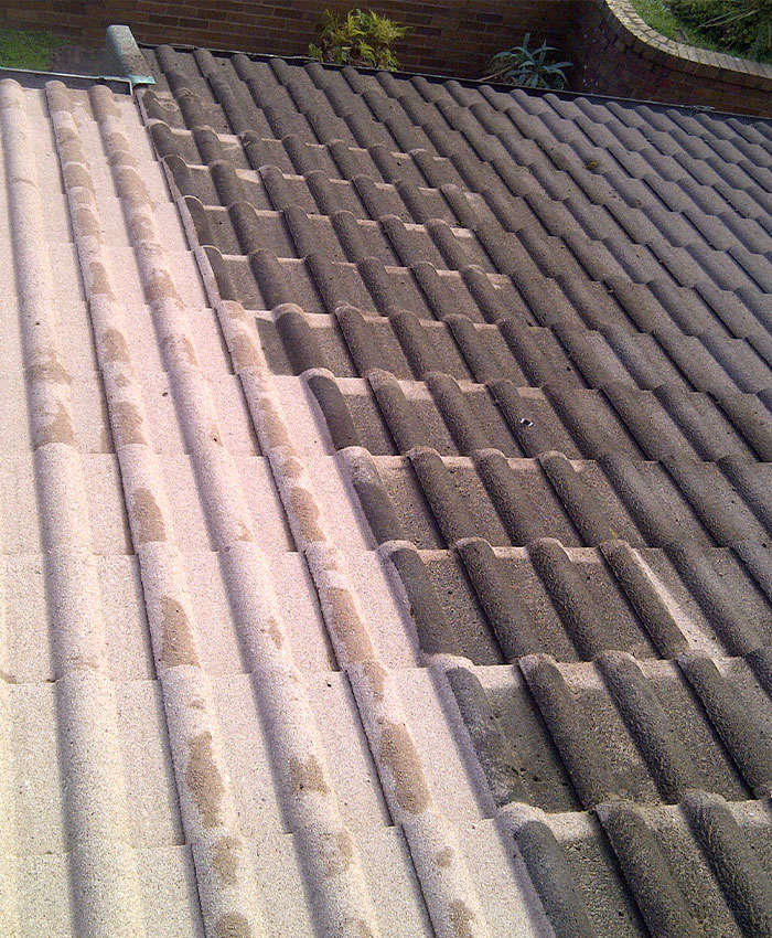 Nettoyage et demoussage de toiture à Issy-les-Moulineaux (92130) dans les Hauts-de-Seine